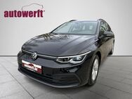 VW Golf Variant 8 1.5 eTSI DSG LIFE LED STDHZG PDC SHZ TEMPOMAT - Ahrensburg