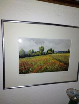Nachlassauflösung umfangreich Kunst - Radolfzell (Bodensee)
