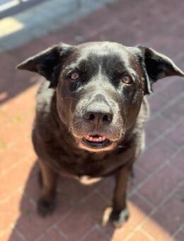 Pumba - Lorsch (Karolingerstadt)