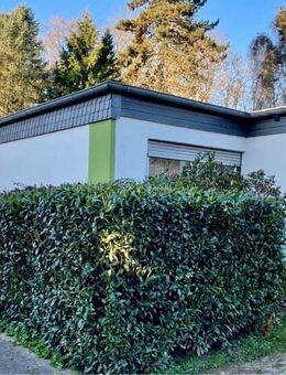 METZ IMMOBILIEN - Ihre Familienidylle am Park! - Frankfurt (Main)