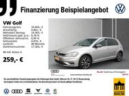 VW Golf, 2.0 TDI VII IQ DRIVE, Jahr 2019 - Luckenwalde