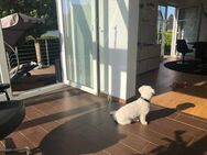 Traumhaft schönes Einfamilienhaus,Pool und Sauna, Kamin - Berlin