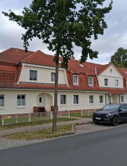 2-Raumwohnung in der Tribseer Vorstadt zu vermieten! - Stralsund