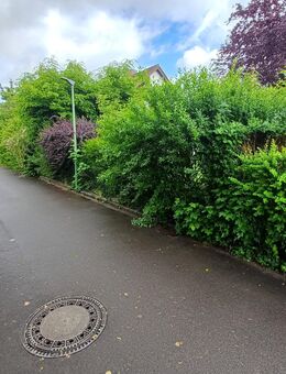 Sanierung Subara - Nersingen