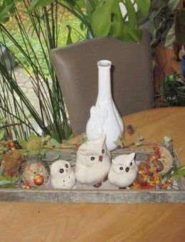 Komfortable 2-Zimmer-Wohnung mit Garage in zentraler Lage Weidens ab 1. November 2025 zu vermieten! - Weiden (Oberpfalz)