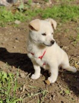 Kleine, lernwillige Warina - Hückelhoven