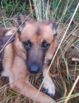 Milena - wartet in 48165 Münster - Bochum