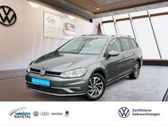 VW Golf Variant, 1.0 TSI Golf VII LICHT-REGEN-SENSOR, Jahr 2018 - Idar-Oberstein