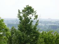 Sonnig, hell, mit wunderbarem Fernblick! - Wiesbaden