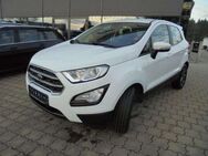 Ford EcoSport Trend Winter-Paket Tempomat AHK - Petting