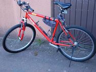 MTB gebraucht - Peine