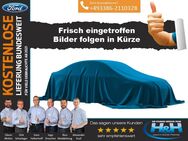 Ford Galaxy, 2.0 EcoBlue Titanium, Jahr 2020 - Premnitz