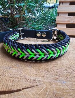 Hundehalsband 31-33cm - Dortmund Benninghofen