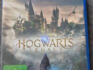 Hogwarts Legacy PS4 - Ronnenberg