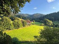 Toplage in Waldkirch: einmalige Gelegenheit mit herrlichem Ausblick - Waldkirch