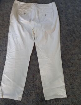 Sommerhose - Meißen