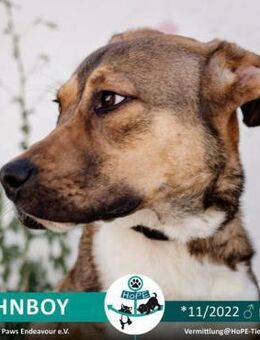 JOHNBOY - *11/2022 - Leimen (Baden-Württemberg)