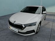 Skoda Octavia, 2.0 TDI Combi First Ed 150PS, Jahr 2020 - München