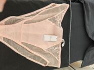 Ungetragen und neu Elomi slip gr 48 für 20 Euro - Mannheim