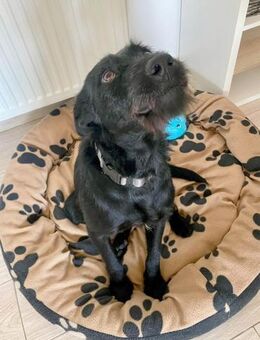 Korn liebt Menschen wirklich über alles - Dittelbrunn