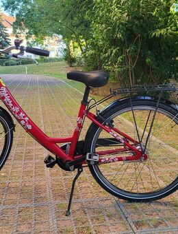 Freizeit Fahrrad - Steinbach (Taunus)