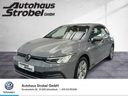 VW Golf, 1.5 TSI VIII Life ergo Bluet, Jahr 2020 - Schnaittach