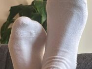 Ein Stück von mir – Getragene Socken mit Charakter - Frankfurt (Main)