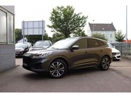 Ford Kuga ST-Line X 1.Hand LED 4WD AHK B&O Assist HUD - Leverkusen