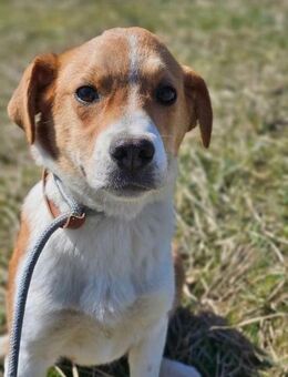 Wunderschöne Nelly 3 sucht ihr Glück - Mannheim