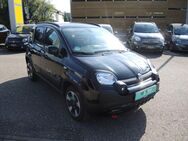 Fiat Panda, 1.0 GSE Hybrid Cross (312), Jahr 2024 - Lauchringen