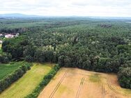 6,3 ha Waldflächen - Neukirch (Sachsen)