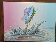 Wandbild "Butterfly" - Celle