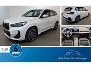 BMW iX 1 xDr 30 M Sport ACC AHK PANO HiFi QI adptLED - Roßtal