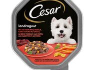 Megapack Cesar Schale 28 x 150 g - Landragout mit Rind, Nudeln und Karotten