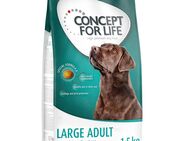 Concept for Life Large Adult - Sparpaket: 4 x 1,5 kg