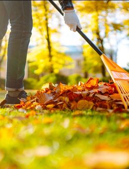 Sie benötigen Hilfe beim Umzug, Gartenarbeit oder Entrümpelung? - Stralsund