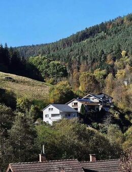 Traumhaftes freistehendes Architektenhaus im Schwarzwald in Alleinlage - Bad Wildbad