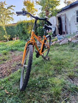 Kinderfahrrad 24Zoll VB 250€ - Leipzig