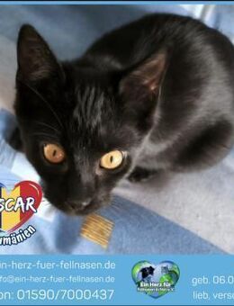 Prinz Oscar sucht sein Königreich! - Waakirchen