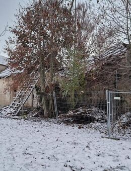 Grundstück mit Altbestand in Nienburg OT Pobzig - Nienburg (Saale)