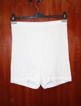 Wäschepur Damen Pagen Slip Unterhose Schlüpfer Baumwolle weiß Gr. 54 NEU - Borken