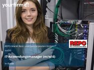 IT-Anwendungsmanager (m/w/d) - Ilsede