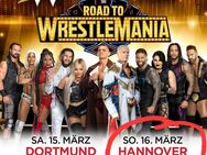 Wrestlemania Hannover 1× VIP MEET AND GREET TICKET - Salzgitter