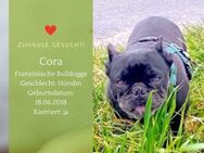 Cora sucht ihr Für-immer Zuhause - Lippetal