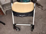 Leichter Rollator - Dortmund