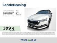 Skoda Octavia, 2.0 TDI Combi Style, Jahr 2022 - Lauf (Pegnitz)