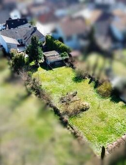 Viel Platz für die ganze Familie! 2 Häuser auf einem Grundstück in Bad Dürkheim-Seebach - Bad Dürkheim