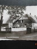 NIEBÜLL - 25899 in 80335