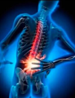 Po, Leiste, Lymphe, Faszien Lendenwirbelbereich Behandlung - Warburg (Hansestadt) Warburg