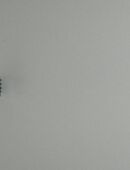 Einschraubmutter M 8 x 15 in 56766